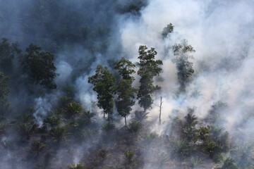Smoke rising from a forest fire in Riau