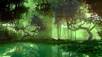 Mangrove jungle and damp fog among the trees