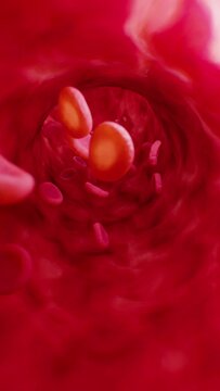 Red blood cells in artery. Vertical video.