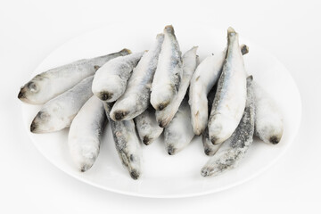 Frozen herring fish on a white plate, seafood in the kitchen.