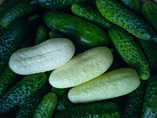 Cucumber background close-up, white cucumbers, mestizos, against the background of ordinary green cucumbers. a new way to solve a problem, stand out from the crowd, individuality, leadership concepts