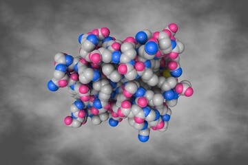 Human brain fatty acid binding protein oleic acid. Space-filling molecular model on gray background. Rendering based on protein data bank entry 1fe3. Scientific background. 3d illustration