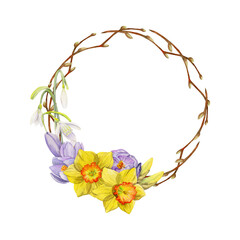 Watercolor hand drawn circle wreath with spring flowers, daffodils, crocus, snowdrops, branches Isolated on white background Design for invitations, wedding, greeting cards, wallpaper, print, textile.