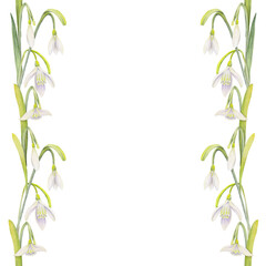 Watercolor hand drawn seamless border with spring flowers, daffodils, crocus, snowdrops. Isolated on white background. Design for invitations, wedding, greeting cards, wallpaper, print, textile