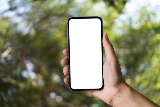Mockup image of hand holding white mobile phone with blank white and blur inside abstract green background.
