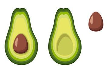 Vector set of colorful half, slice and whole fresh avocado.