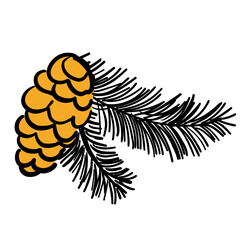 Cone and brunch of pine tree isolated on white background