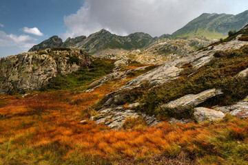 It's autumn time in the mountains of the Val Grande national park in north Italy Alps