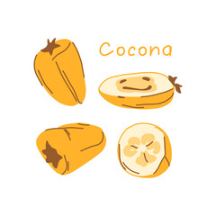 South american cocona fruit isolated on white background. whole fruit, half fruit, cut.