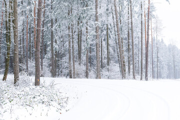 winter, forester, snow