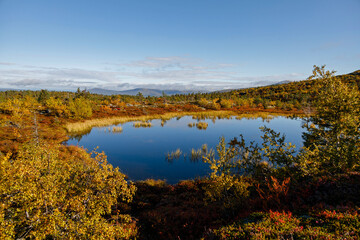 Beautiful autumn tundra landscape in norway with lake in blue color