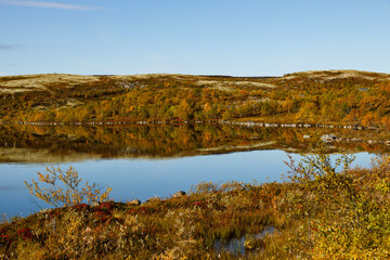 Beautiful autumn Norwegian nature. Tundra landscape with moss, glass and stones in northern Norway or Russia and blue sky with clouds on a summer, autumn or spring day
