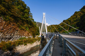 Obraz premium Cable-stayed bridge against the blue sky in Russia, Sochi. Photo landscape