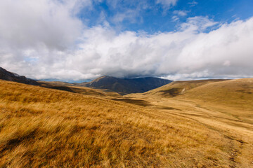 Road in a field of orange grass, disappearing into the distance on a background of rocky hills under white clouds and blue sky