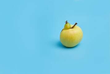 Ugly yellow apple on a blue background. Funny, unnormal fruit or food waste concept. Image with...