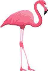 Naklejka premium Pink flamingo isolated on white background.Head turned to the right