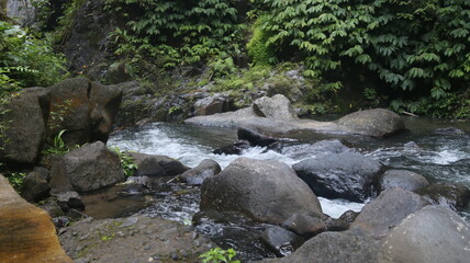 Naklejka na ściany i meble small river in the Bali forest