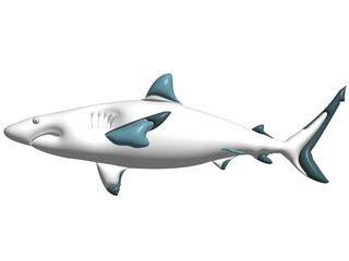 Shark in 3D rendering style on transparent background.