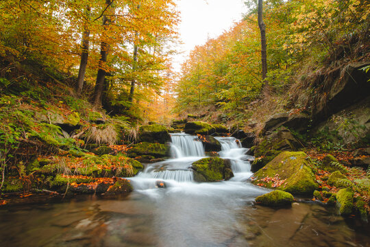 Bystra River with clear water and small waterfalls in an untouched landscape in the middle of an autumn mixed forest in red-orange colour. Celadna, Beskydy mountains, Czech republic