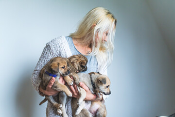 Unrecognizable woman volunteer holding a group of little puppies. High quality photo