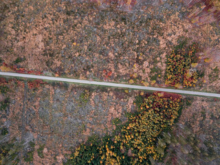 Road through forest from above