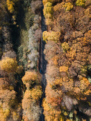 Forest and road aerial