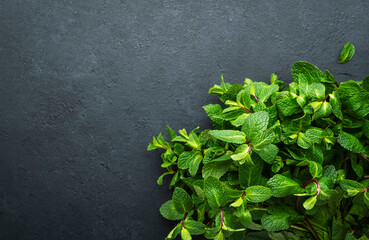 Fresh mint or peppermint on dark background. Medicinal plant, close-up, top view