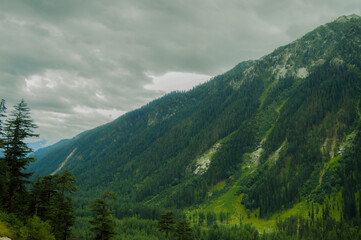 Obraz premium Landscape of Beautiful Green Mountain 