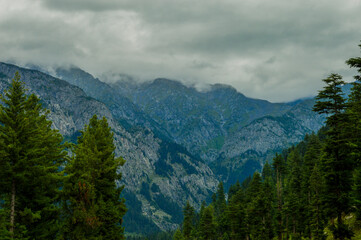 Fototapeta na wymiar Beautiful Landscape of Mountain in Forest