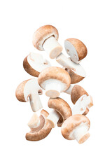 Brown champignon, flying. Portobello mushroom isolated on white background, levitation concept. clipping path, full depth of field. Focus stacking