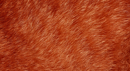 Full frame orange fur, brown fur for background.