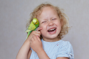 Laughing curly-hair child with budgierigar at home.