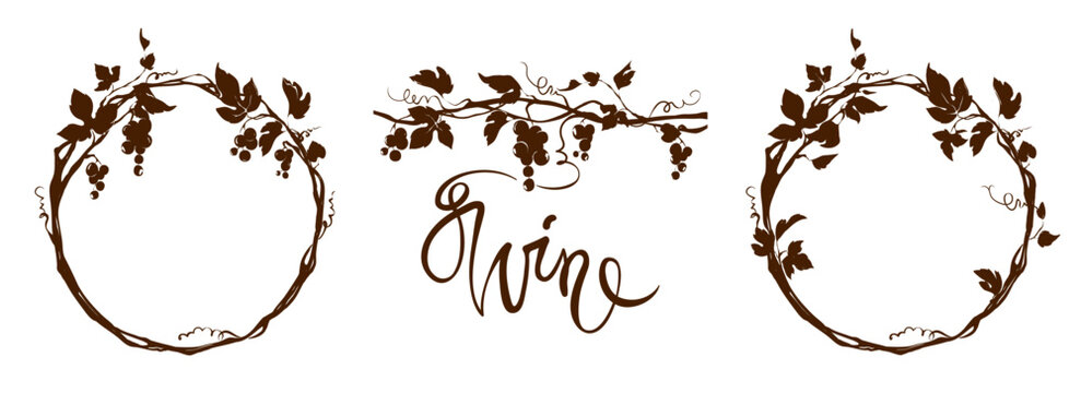 Grapevine - vector illustration. Design elements with a twisting vine with leaves and berries. Frame with vine.	