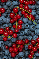 fresh berries close up, blueberry and red currant background, Texture berries