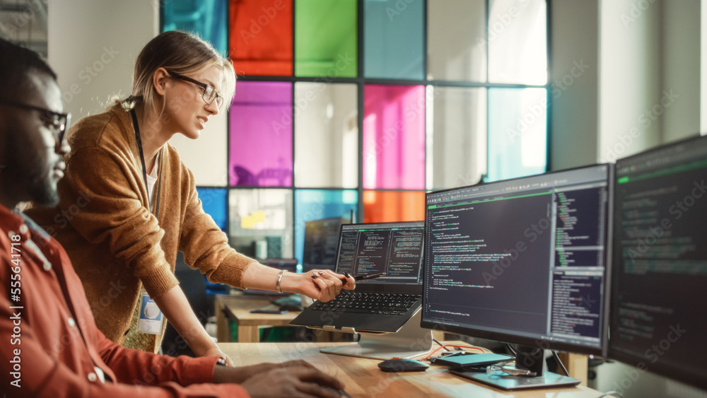Poster Black Programmer Shows Code On Desktop Computer to Female Start-Up Founder in Creative Office Space. African Man And Caucasian Woman Discussing New Software Features For Mobile Application.