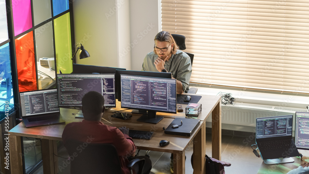 Poster Diverse Colleagues Writing Code on Desktop Computers With Professional Multiple Monitors Setup. Software Development Department Working on Software as a Service Platform For Business Clients.