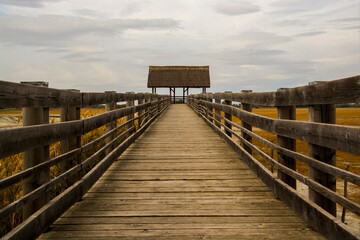 Obraz premium Wooden pier in the Water Buffalo Reserve in Hungary