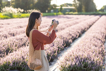 Woman take photo on camera in Chinese Mesona flower field in Taoyuan Yangmei District
