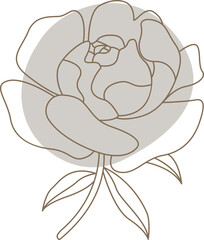 Peony flowers in line art style Contemporary floral design