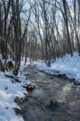 River forest winter. Winter atmospheric background. The concept of snow melting the onset of spring. The bright sun breaks through the trees. Fabulous landscape. A walk through the snow-covered forest
