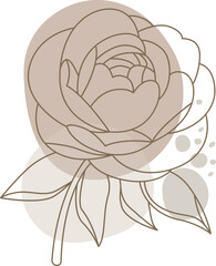 Obraz premium Peony flowers in line art style Contemporary floral design