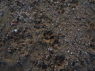 imagen detalle textura suelo de tierra y piedras de distinto tamaño