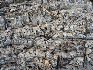 imagen detalle textura piedras blancas con distinta profundidad