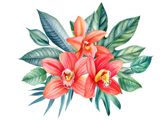 Orchids flowers painted in watercolor on an isolated white background, botanical illustration, tropical flowers
