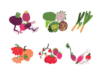 Ripe Vegetables and Organic Agricultural Crop Vector Set