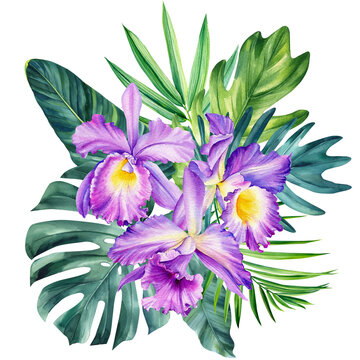 Orchids flowers painted in watercolor on an isolated white background, botanical illustration, tropical flowers