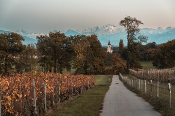 Obraz premium l'église Saint-Clément de Collex-Bossy et le Mont-Blanc