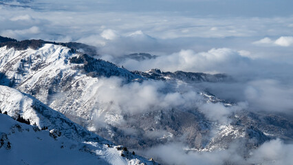 Fototapeta na wymiar mountain peaks in the clouds. cloud mountains. misty peaks