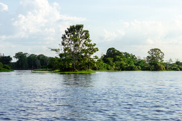 Amazing water landscape of the Amazonas river in the middle of the rain forest during a canoe excursion trip 