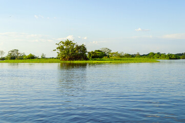 Amazing water landscape of the Amazonas river in the middle of the rain forest during a canoe...
